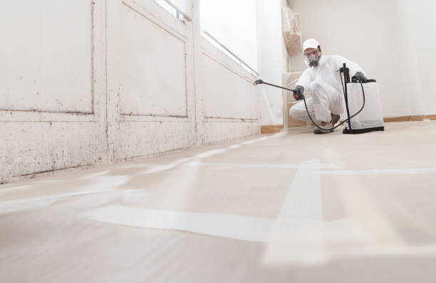24/7 Emergency Mold Remediation experts in Haw River, NC