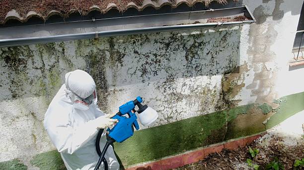 Trusted Mold Remediation service in Haw River, NC - Cheap Mold Removal